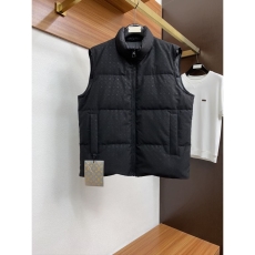 Louis Vuitton Down Jackets